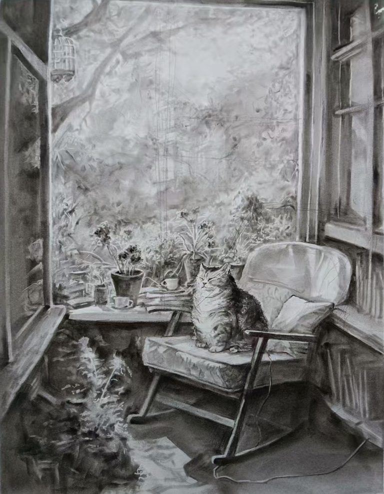 25 届学员胡丹宁录取 中央美术学院｜画室期间集训作品
