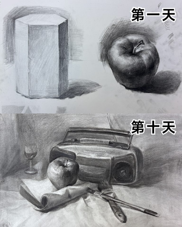 素描静物·综合练习