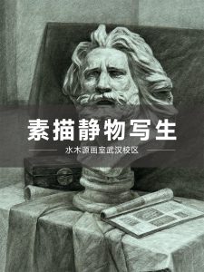 27届美术生水木源画室9月素描静物写生作品